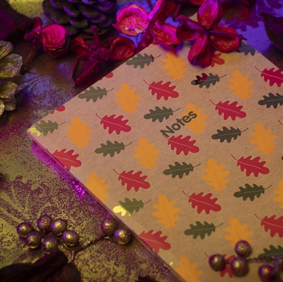 Picture for category A5 Notebooks