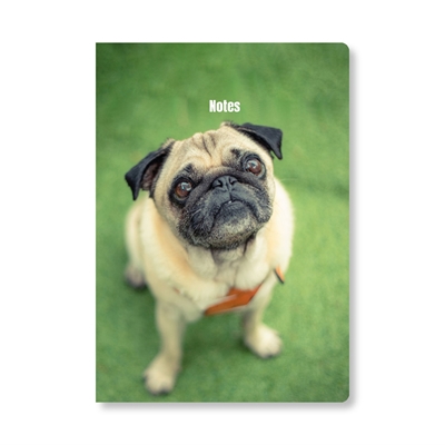 Show details for A5 Notebooks Pug